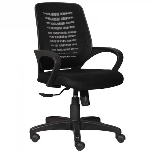 ebony-ergonomic-chair-in-black-colour-by-trevi-furniture-ebony-ergonomic-chair-in-black-colour-by-tr-ve1wwp